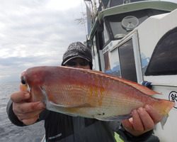 久里浜黒川本家 釣果
