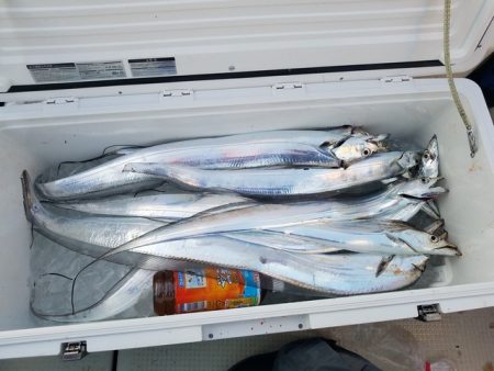 遊漁船　ニライカナイ 釣果