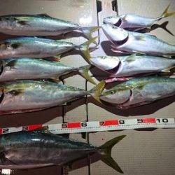 スカイマリン 釣果