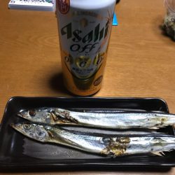 まると屋 釣果