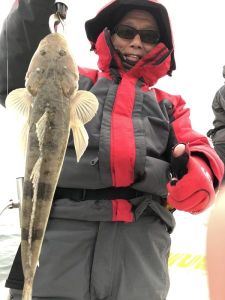 Magic(マジック) 釣果