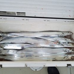 遊漁船　ニライカナイ 釣果