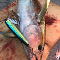 へいみつ丸 釣果