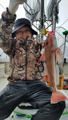 遊漁船 ニライカナイ 釣果