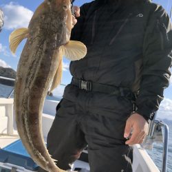 Magic（マジック） 釣果