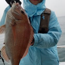 遊漁船 ニライカナイ 釣果