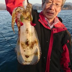 シードリーム 釣果