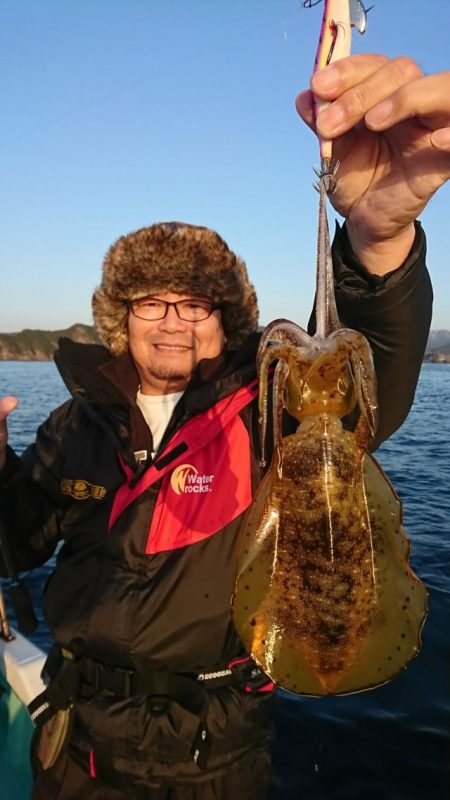 シードリーム 釣果