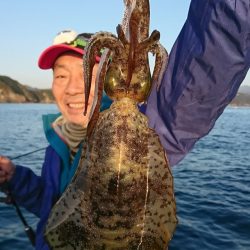 シードリーム 釣果