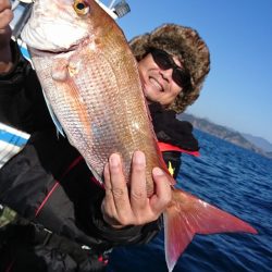 シードリーム 釣果