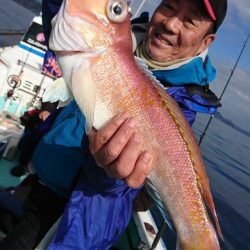 シードリーム 釣果