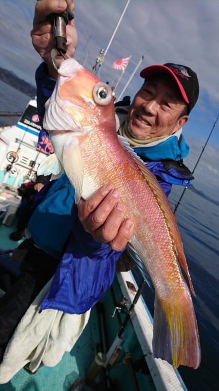 シードリーム 釣果