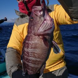 シードリーム 釣果