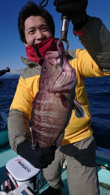 シードリーム 釣果