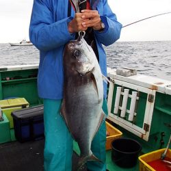 第三むつりょう丸 釣果