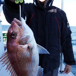 第三むつりょう丸 釣果