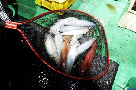 第三むつりょう丸 釣果