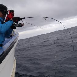 松鶴丸 釣果