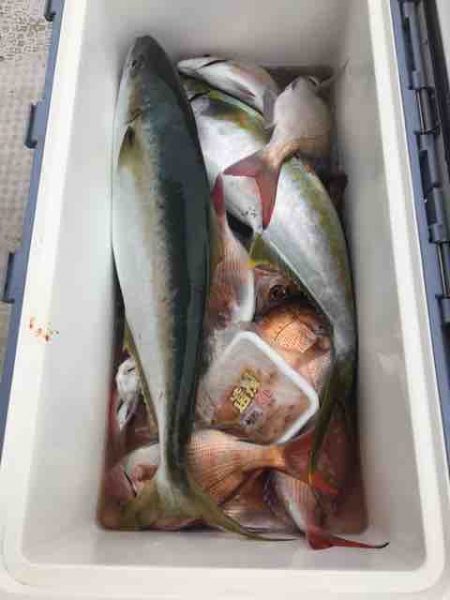 龍宮丸 釣果