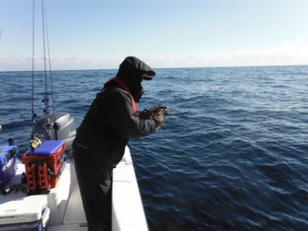 開進丸 釣果