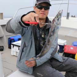 スカイマリン 釣果