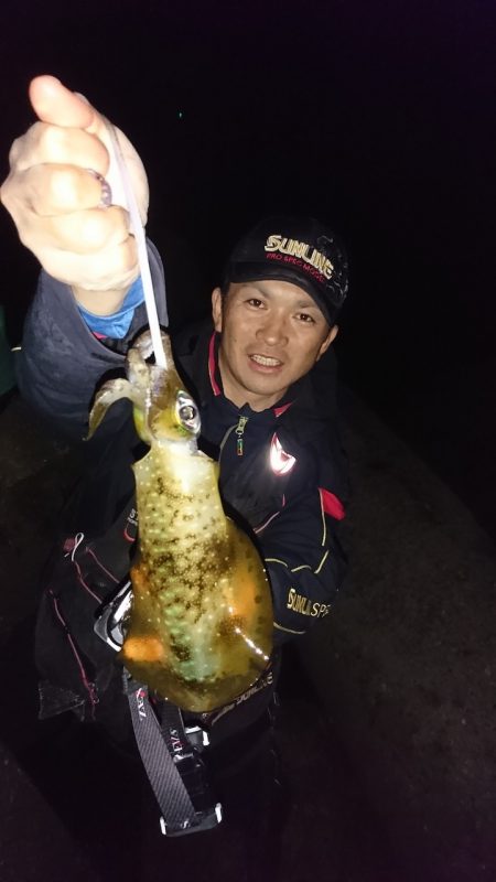 和歌山での晩秋アオリイカ釣り〜マイワシやセイゴを活き餌に浮き釣りを堪能【角田裕介氏連載記事浮きアオリイカ釣り 第26弾】