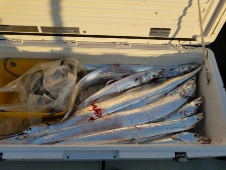 遊漁船　ニライカナイ 釣果