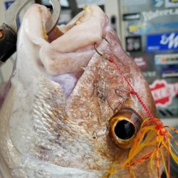 遊漁船 ニライカナイ 釣果