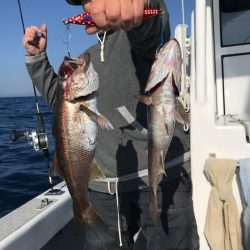 へいみつ丸 釣果