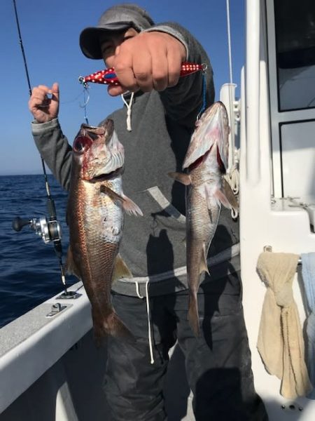 へいみつ丸 釣果