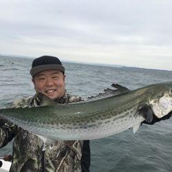 TOPGUN衣浦 釣果