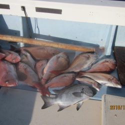 第十八吉栄丸 釣果