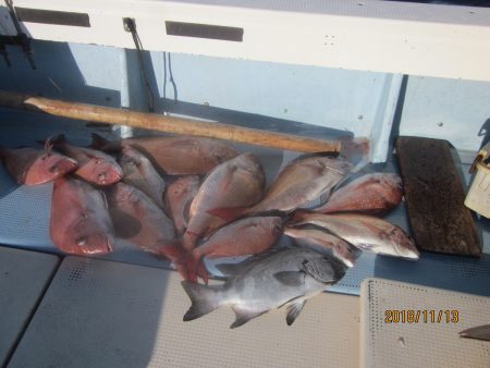 第十八吉栄丸 釣果