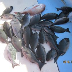 第十八吉栄丸 釣果