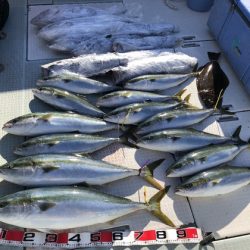 ふじしめ丸 釣果