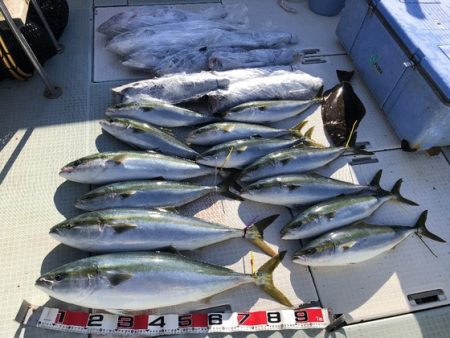 ふじしめ丸 釣果