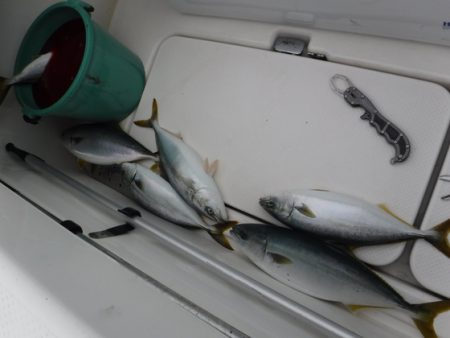 BlueNote Fishing Taxi 釣果