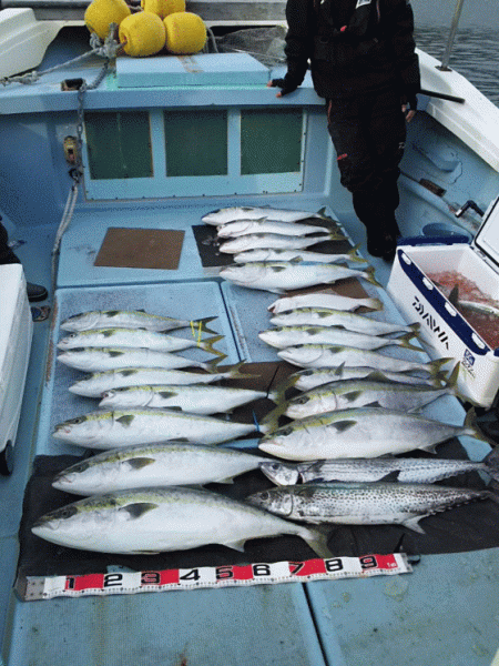 清和丸 釣果