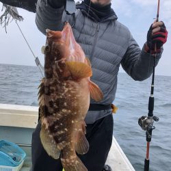 リトルワン 釣果