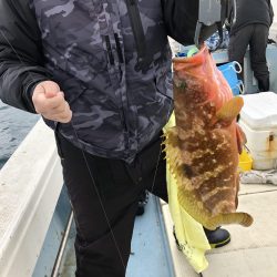 リトルワン 釣果