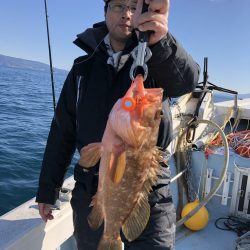 リトルワン 釣果