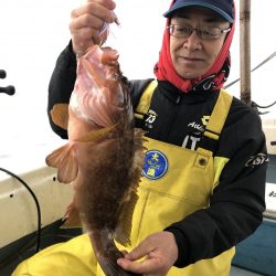 リトルワン 釣果