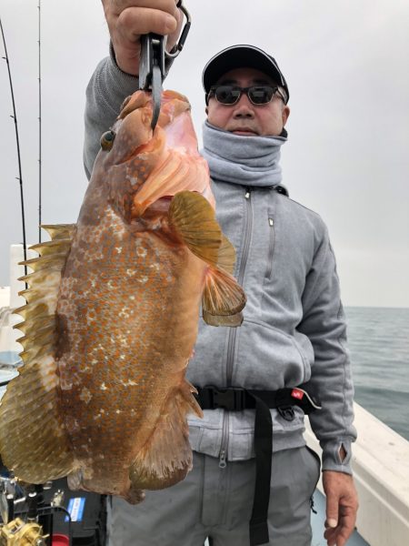 リトルワン 釣果