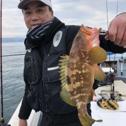 リトルワン 釣果