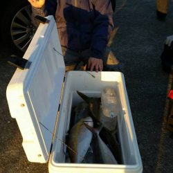 第五慶門丸 釣果