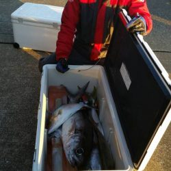 第五慶門丸 釣果