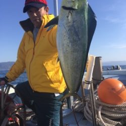 シーモンキー 釣果