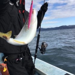 シーモンキー 釣果