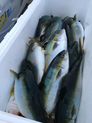 シーモンキー 釣果