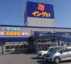 シーモンキー 釣果